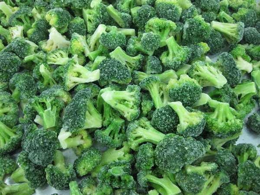 High Quality IQF Factory Frozen Vegetables Wholesale Price Frozen Broccoli