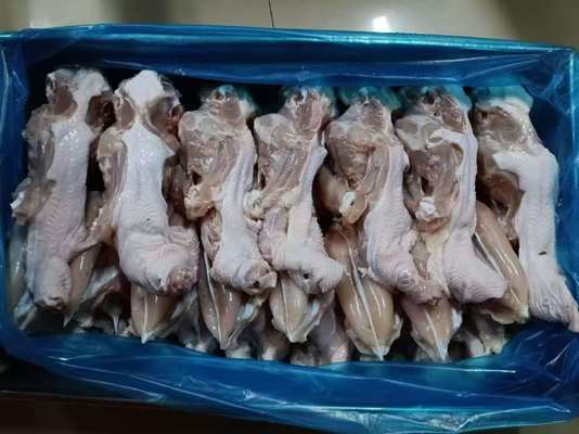 Espaldilla de pollo congelada de primera calidad a precios mayoristas