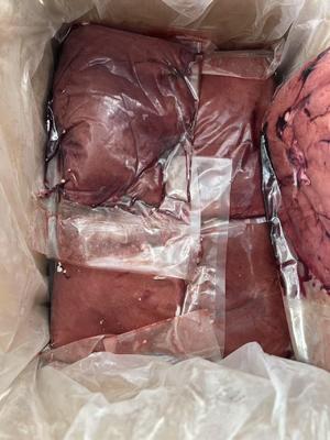 Precio Barato Calidad Superior Bajo en Grasa Limpio HALAL Aprobado Hígado de Cordero Congelado
