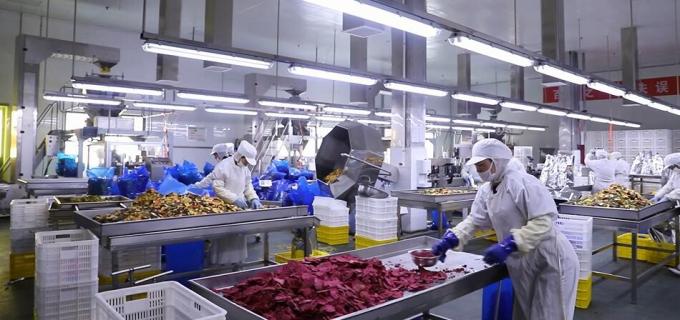 Frambuesas Congeladas a Granel de Alta Calidad Embalaje a Granel de Frambuesas Congeladas Fruta 9