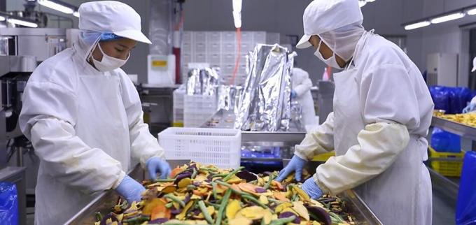 Frambuesas Congeladas a Granel de Alta Calidad Embalaje a Granel de Frambuesas Congeladas Fruta 10