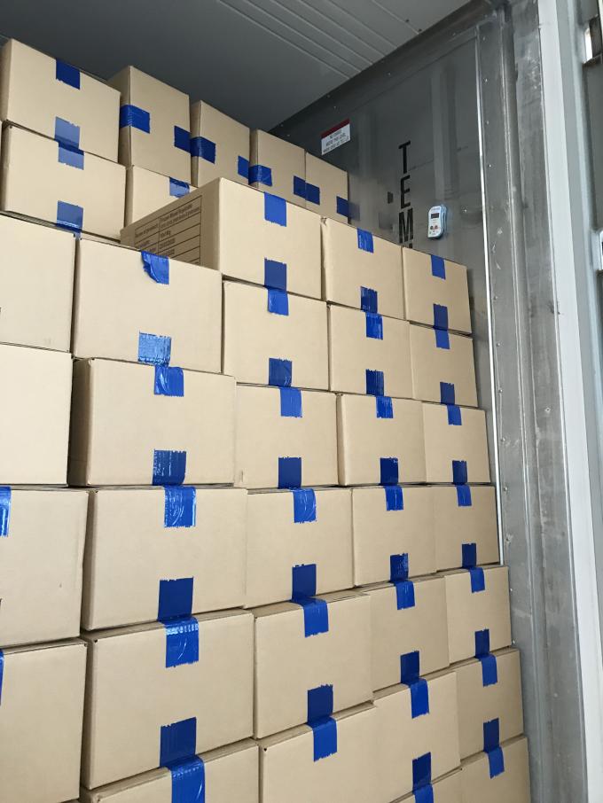 Frambuesas Congeladas a Granel de Alta Calidad Embalaje a Granel de Frambuesas Congeladas Fruta 12