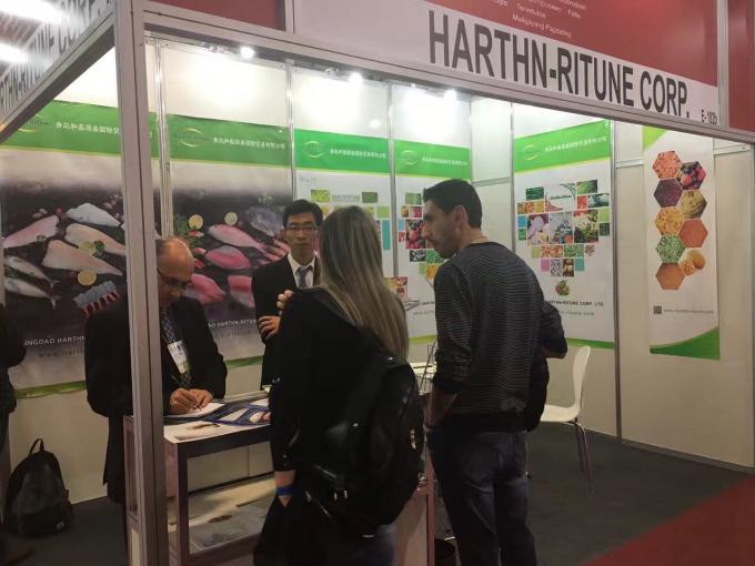 Frambuesas Congeladas a Granel de Alta Calidad Embalaje a Granel de Frambuesas Congeladas Fruta 19