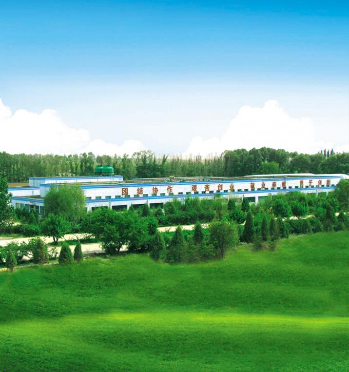 Sinocharm Producto 4 Estrellas BRC-A Melocot&oacute;n Amarillo Fresco 10x10mm Cubos de Frutas Congeladas IQF Dados de Melocot&oacute;n Amarillo 8