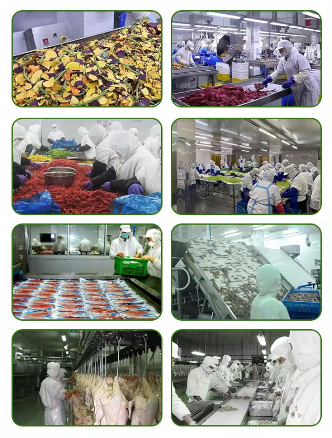 Al por mayor Envasado en grandes cantidades Calabaza congelada en trozos de Iqf Camisas de calabaza Verduras congeladas 5