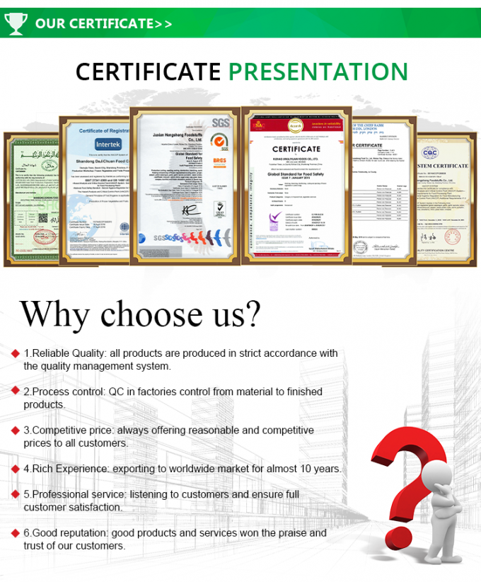 Nuevas Rodajas o Cortes de Ra&iacute;z de Loto Congeladas a Buen Precio 3