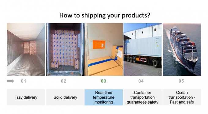 Pl&aacute;tano Iqf congelado de China producto caliente cortado para la exportaci&oacute;n con alta calidad 2