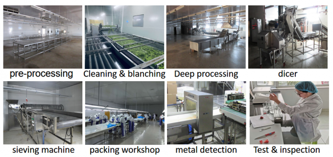 Suministro chino Mejor calidad buen precio Iqf Vegetales congelados Okra entero Gumbo 8