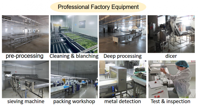 Precio de f&aacute;brica del fabricante IQF Alimentos frescos de alta calidad Frambuesa congelada Serbia para exportaci&oacute;n 6