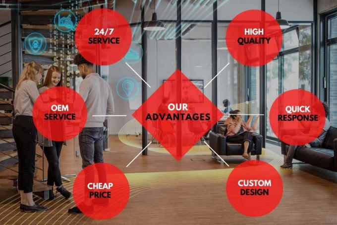 Espaldilla de pollo congelada de primera calidad a precios mayoristas 4