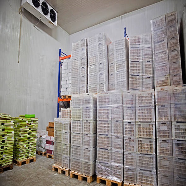 Precio Barato Calidad Superior Bajo en Grasa Limpio HALAL Aprobado H&iacute;gado de Cordero Congelado 3