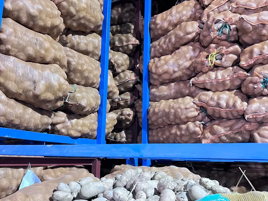 Carga y Entrega Oportuna de Papas Fritas Congeladas de Corte Recto 0