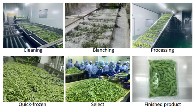 Vegetales congelados org&aacute;nicos a granel con alto contenido de prote&iacute;nas listos para cocinar 4