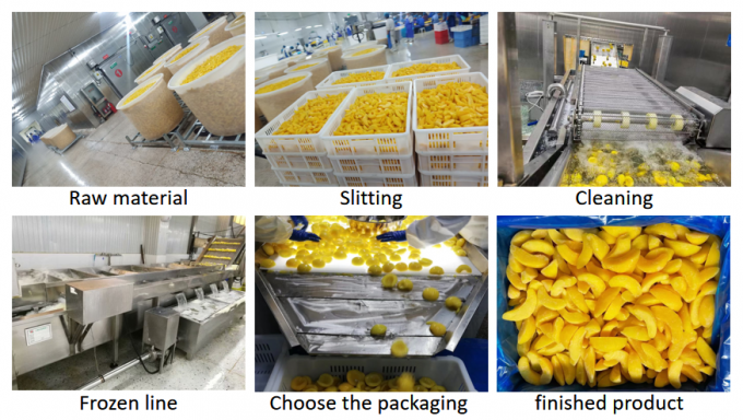 Mitades de melocot&oacute;n amarillo congelado a granel de 10 kg de primera calidad - Ideal para conservas y exportaci&oacute;n 3