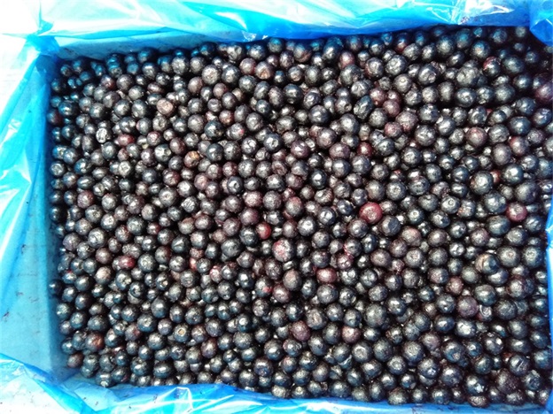 IQF Fr&iacute;o ar&aacute;ndanos enteros Premium horneado y batidos con tope Intensivo 2