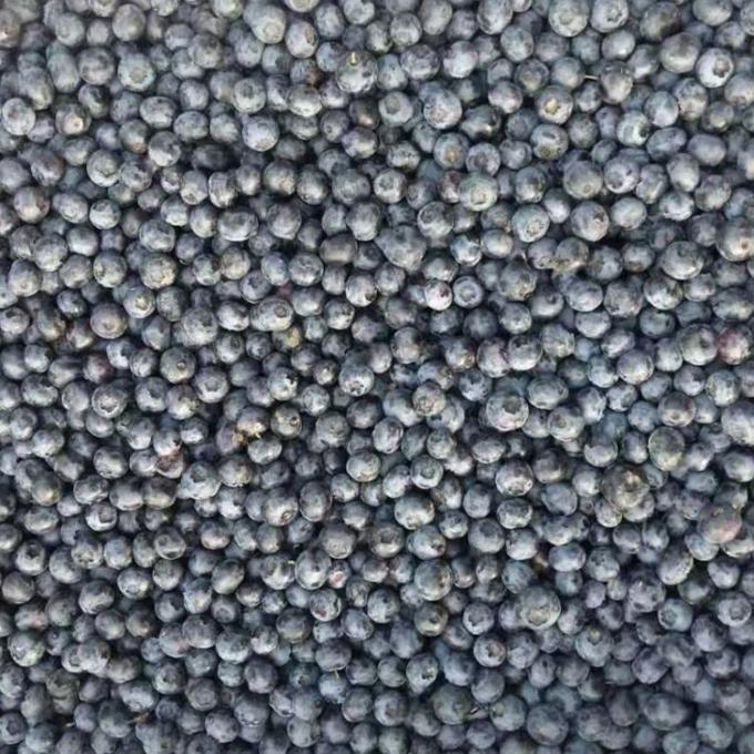 IQF Fr&iacute;o ar&aacute;ndanos enteros Premium horneado y batidos con tope Intensivo 1