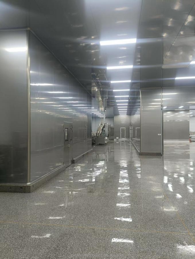 Productos calientes Precio de f&aacute;brica Color blanco Certificados BRC HACCP Vegetales congelados IQF Ajo org&aacute;nico 5