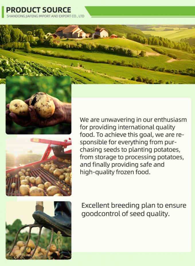 Patatas fritas congeladas autom&aacute;ticas Patatas fritas congeladas Patatas fritas org&aacute;nicas IQF Patatas fritas de patata a granel Embalaje de 10 kg Material fresco 1