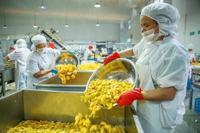 IQF org&aacute;nico melocot&oacute;n amarillo mitad Frutas congeladas sabor dulce a granel envasado Pulpa de agua en conserva cubos enteros Dietas mitad Disponible 8