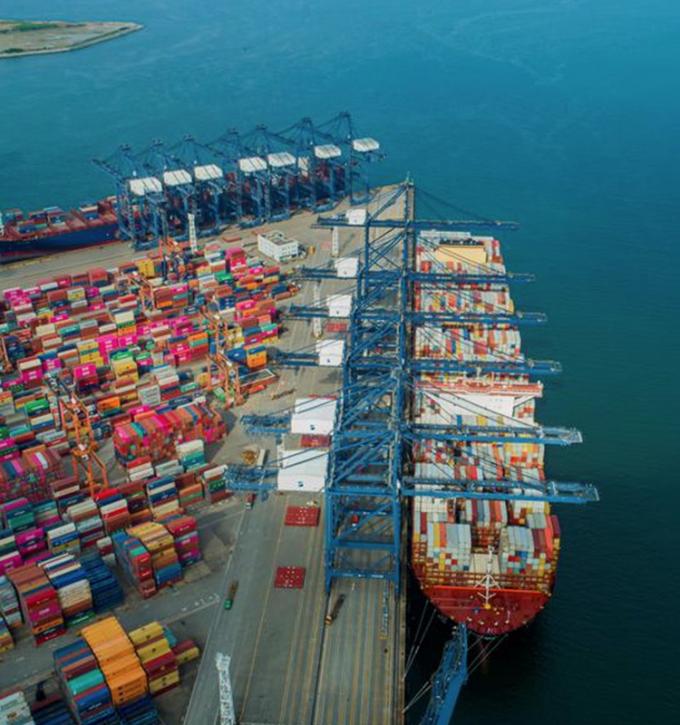 IQF org&aacute;nico melocot&oacute;n amarillo mitad Frutas congeladas sabor dulce a granel envasado Pulpa de agua en conserva cubos enteros Dietas mitad Disponible 13