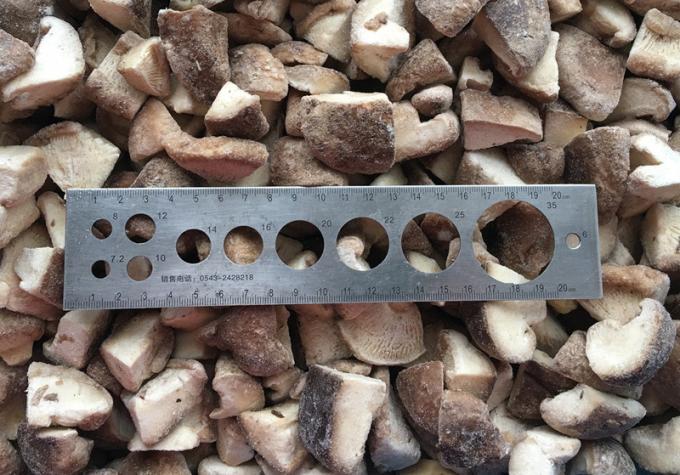 Origen China Venta caliente Iqf cultivo de hongos alimenticios Shiitake hongos para Shiitake congelado 2