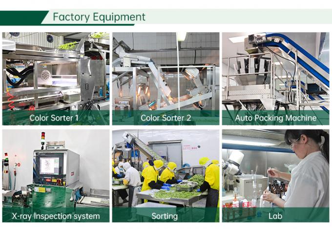 Moras de alto Brix Frutas IQF Congeladas para Jugo Mermelada Cobertura 4