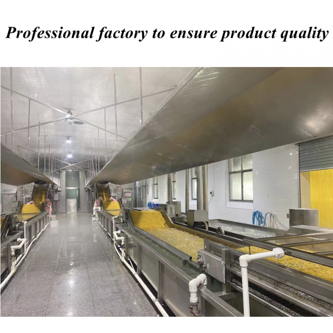 Ma&iacute;z dulce congelado de alta calidad a precio competitivo, granos de ma&iacute;z dulce org&aacute;nico, sin OGM, embalaje a granel 1