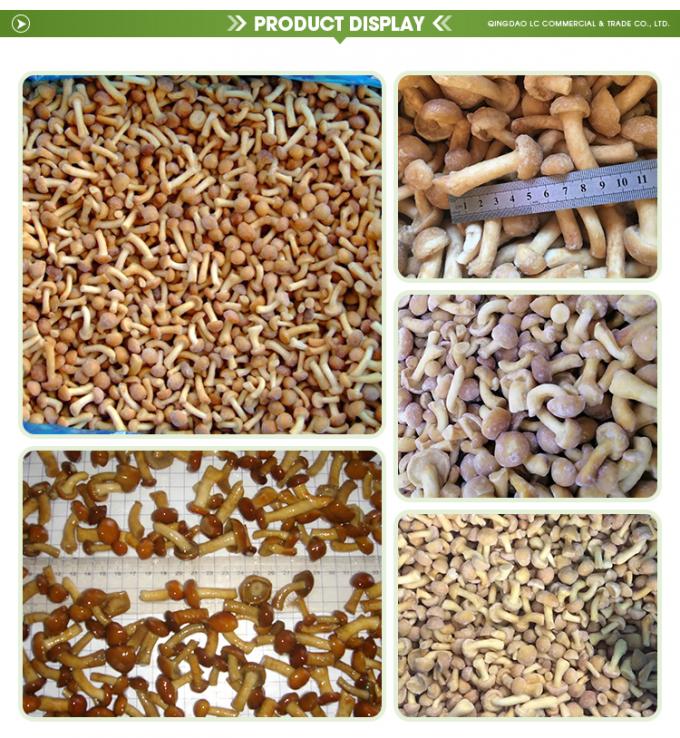 H&uacute;ngos org&aacute;nicos cultivados silvestres saludables naturales nutritivos frescos H&uacute;ngos enteros congelados IQF Nameko congelado 1