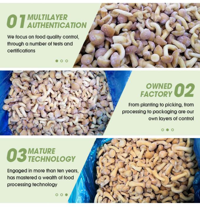 H&uacute;ngos org&aacute;nicos cultivados silvestres saludables naturales nutritivos frescos H&uacute;ngos enteros congelados IQF Nameko congelado 3