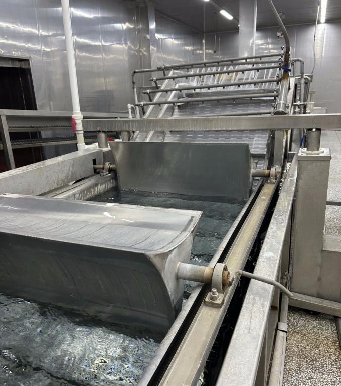 Sinocharm HALAL KOSHER Proveedor de jengibre chino IQF en cubos de 4*4mm, 1 kg de jengibre congelado para especias 8