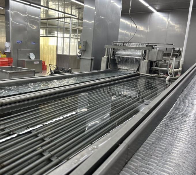 Sinocharm HALAL KOSHER Proveedor de jengibre chino IQF en cubos de 4*4mm, 1 kg de jengibre congelado para especias 9