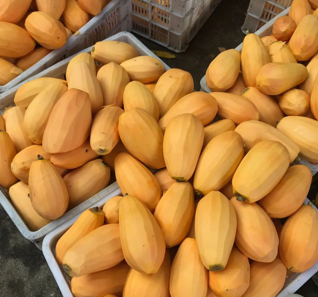 ¡Aumenta tus ventas con deliciosa fruta congelada IQF de papaya! 0
