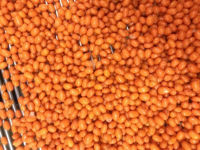 Origen China IQF Fresco Fr&iacute;o Ceno de mar salvaje de primera clase Ceno de mar Lingonberry frambuesa, ar&aacute;ndanos Berries mezcladas 2