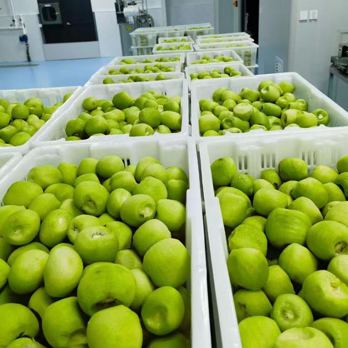 Kiwi Fruta Congelada Fruta Congelada Bola de Kiwi Calidad Natural 3