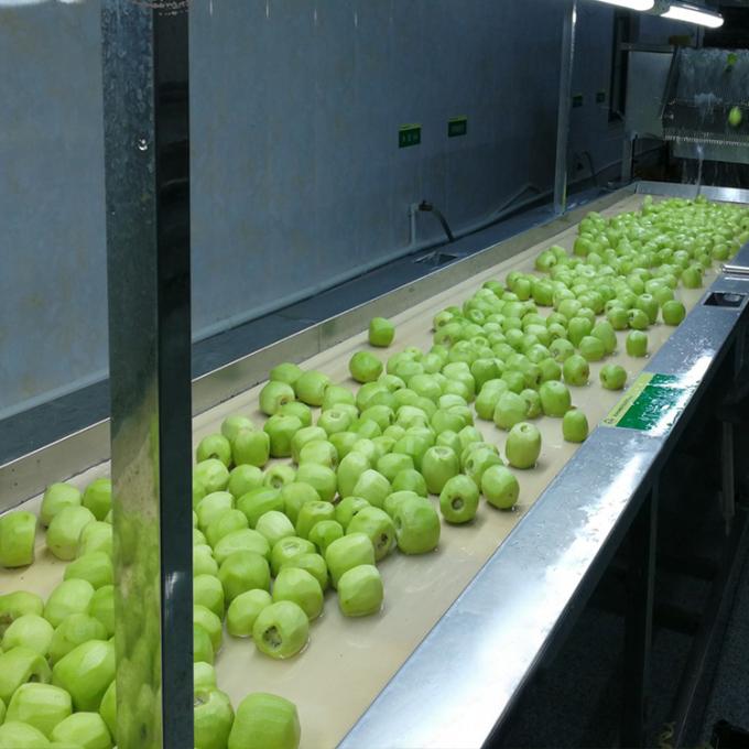 Kiwi Fruta Congelada Fruta Congelada Bola de Kiwi Calidad Natural 5