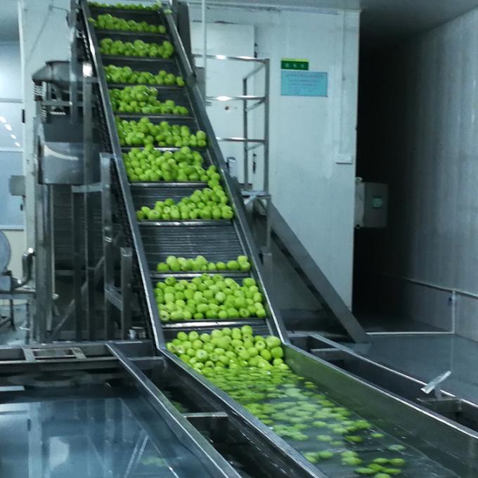 Kiwi Fruta Congelada Fruta Congelada Bola de Kiwi Calidad Natural 6