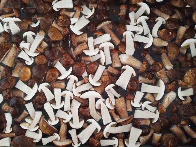 H&uacute;ngos congelados IQF BOLETUS EDULIS grado A 24 meses Per&iacute;odo de conservaci&oacute;n ISO HACCP BRC KOSHER HALAL Certificado 10 toneladas MOQ 0