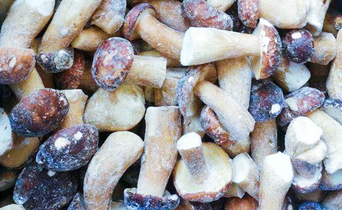 H&uacute;ngos congelados IQF BOLETUS EDULIS grado A 24 meses Per&iacute;odo de conservaci&oacute;n ISO HACCP BRC KOSHER HALAL Certificado 10 toneladas MOQ 2