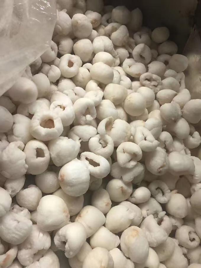 Lichi entera pelada congelada en embalaje de cart&oacute;n a granel IQF Fruta de lichi de sabor dulce con variedad de mango de frutas en conserva 3