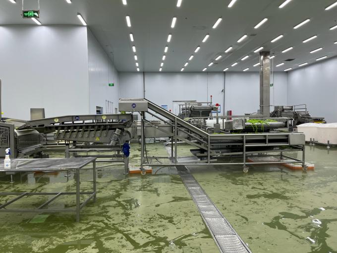 Frambuesa fresca congelada de alta calidad Seleccionada a mano para su sabor dulce para jugos Postres batidos 9