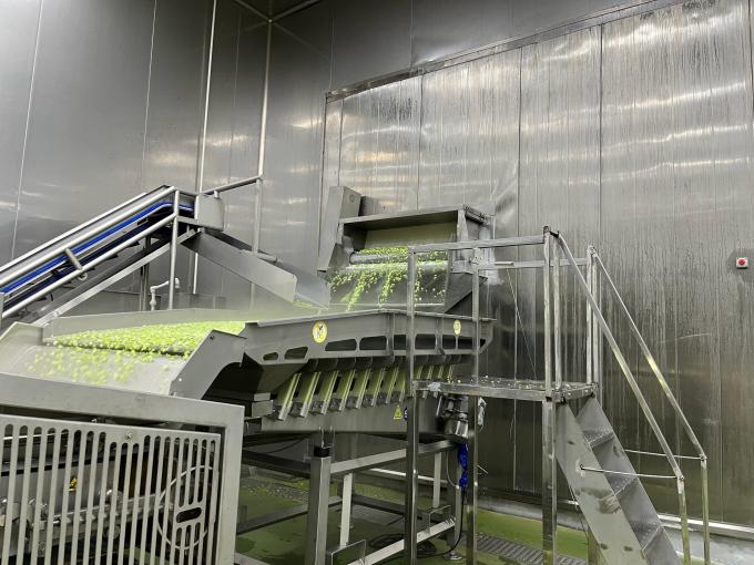 Frambuesa fresca congelada de alta calidad Seleccionada a mano para su sabor dulce para jugos Postres batidos 10