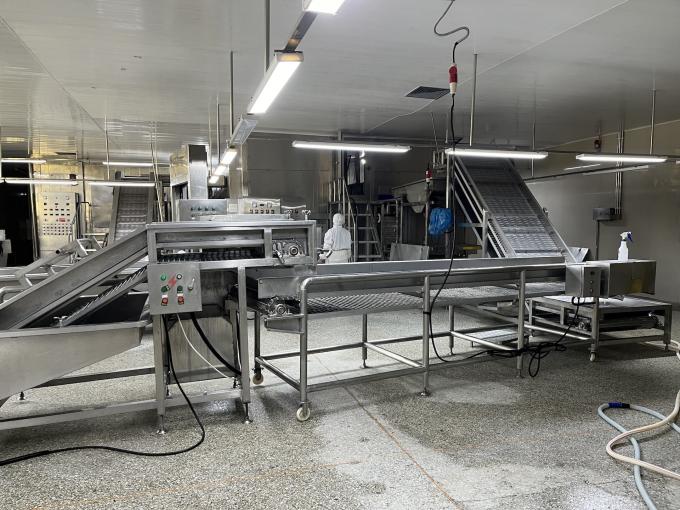 Frambuesa fresca congelada de alta calidad Seleccionada a mano para su sabor dulce para jugos Postres batidos 11