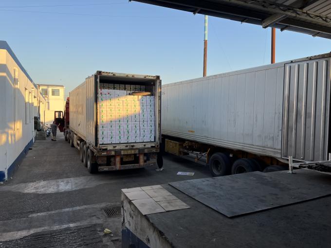 Frambuesa fresca congelada de alta calidad Seleccionada a mano para su sabor dulce para jugos Postres batidos 16