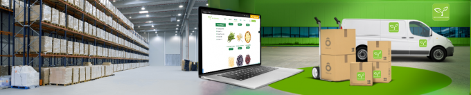 Mejores setas de ostra congeladas de alta calidad al por mayor, nueva cosecha, cortes de setas de ostra IQF 8