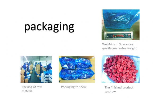 Venta al por mayor IQF Crumble de frambuesa congelada Precio de f&aacute;brica Estricto control de calidad Buen sabor 4