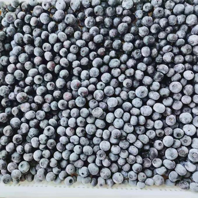 Venta al por mayor de Chinese Iqf Frozen Berries IQF Frozen Blueberry para la exportaci&oacute;n con buen precio 0
