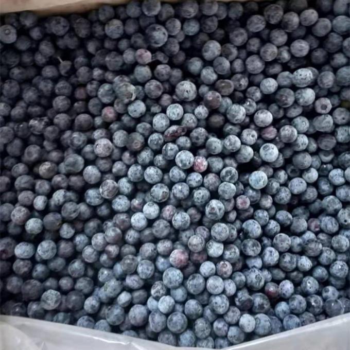 Venta al por mayor de Chinese Iqf Frozen Berries IQF Frozen Blueberry para la exportaci&oacute;n con buen precio 1