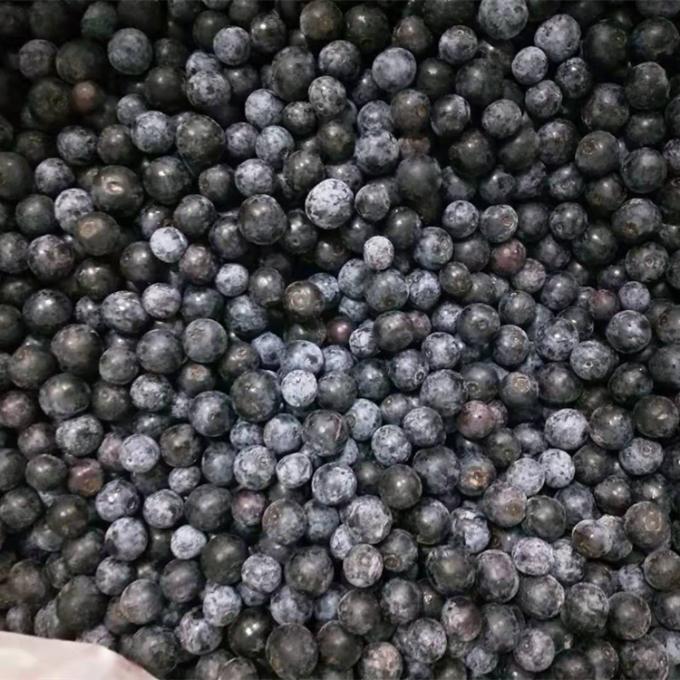 Venta al por mayor de Chinese Iqf Frozen Berries IQF Frozen Blueberry para la exportaci&oacute;n con buen precio 2