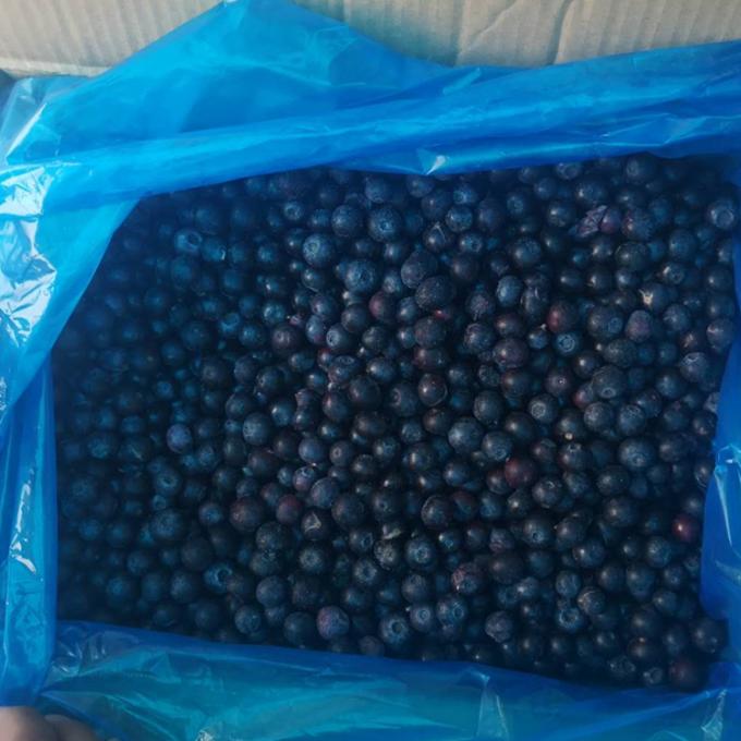 Venta al por mayor de Chinese Iqf Frozen Berries IQF Frozen Blueberry para la exportaci&oacute;n con buen precio 3