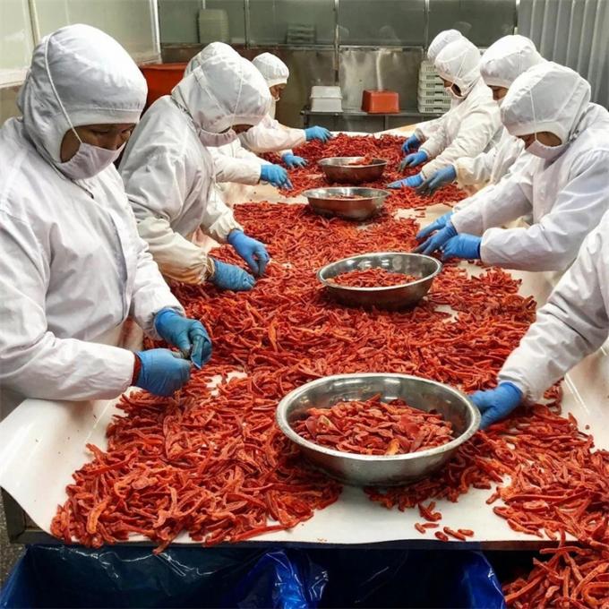 Fabricación profesional de pimientos morrones rojos congelados IQF, con certificación de calidad 0